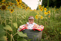 sunflower sweetheart